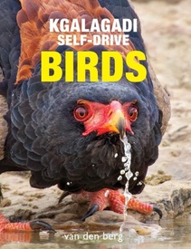 Vogelgids Kgalagadi Self-Drive Birds | HPH Publishing