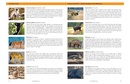 Accommodatiegids - Natuurgids Good Wildlife Travel Guide to India and Nepal | Toft