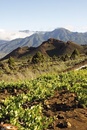 Wandelgids Walking on La Palma | Cicerone