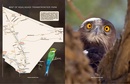 Vogelgids Kgalagadi Self-Drive Birds | HPH Publishing